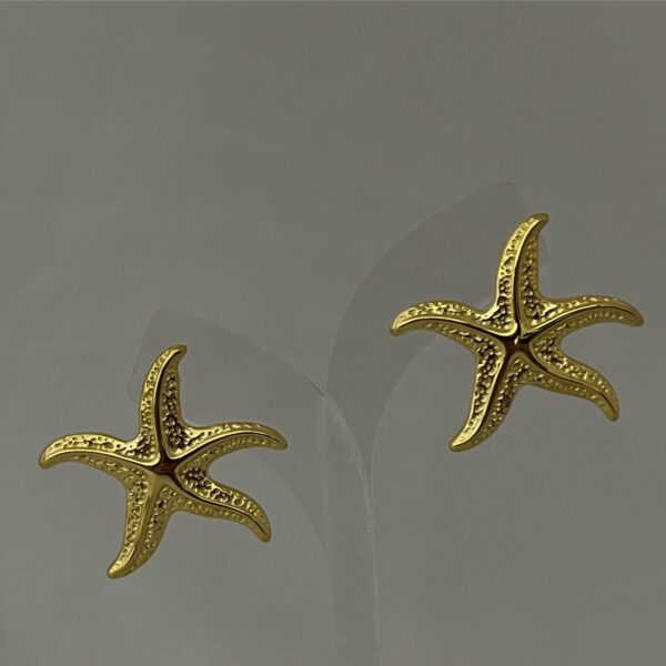 boucle starry
